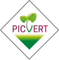 Picvert